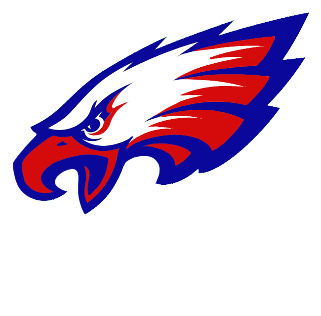 Philadelphia Eagles Logo DIY iron on transfer (heat transfer)